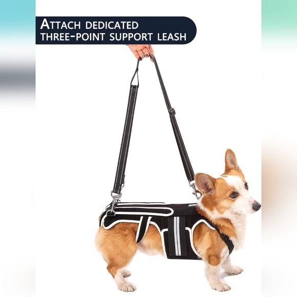 LufeLux Back Brace for Dogs with IVDD, Arthritis, Back Pain, Surgical Recover(S) - Picture 3 of 5